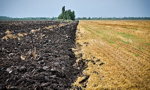 В Северной Осетии у недобросовестных арендаторов будут забирать землю