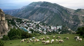 Импортозамещение или «сувенирка»?