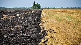 В Северной Осетии у недобросовестных арендаторов будут забирать землю